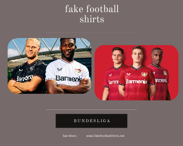 fake Bayer Leverkusen football shirts 23-24